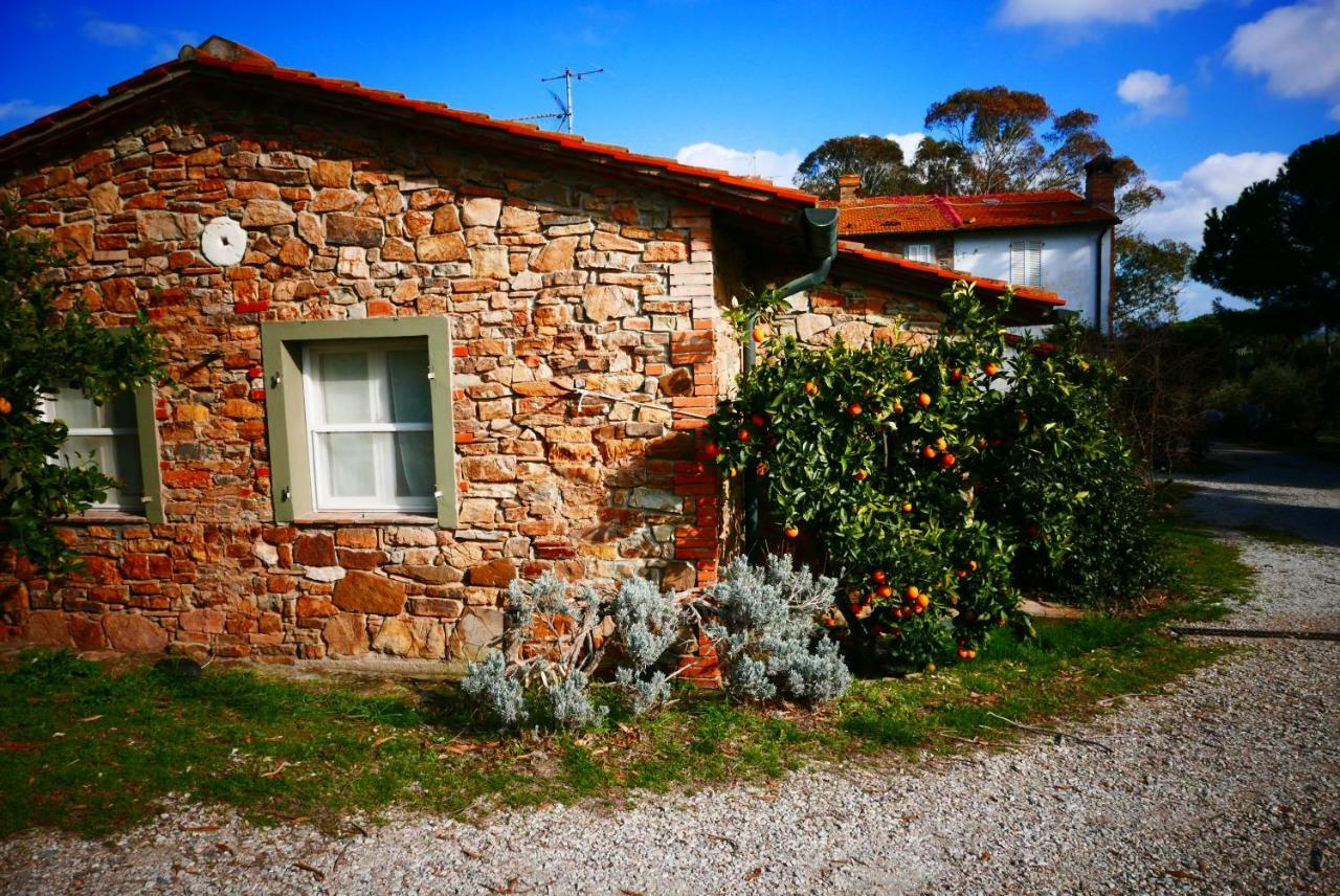 Agriturismo Baratti Dış mekan fotoğraf