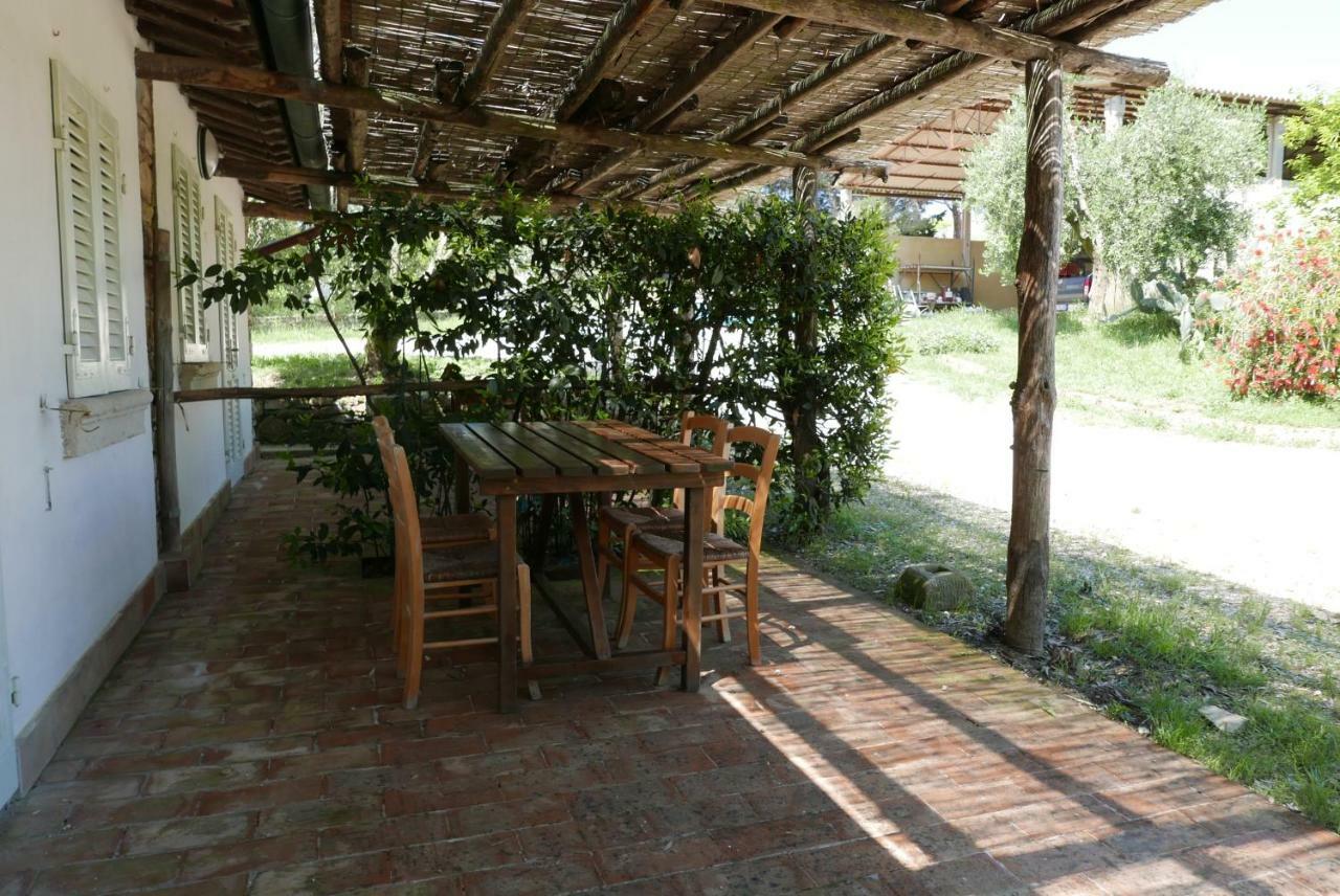 Agriturismo Baratti Dış mekan fotoğraf