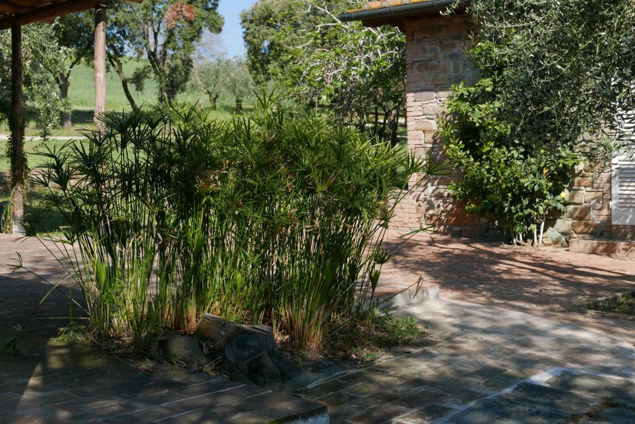 Agriturismo Baratti Dış mekan fotoğraf