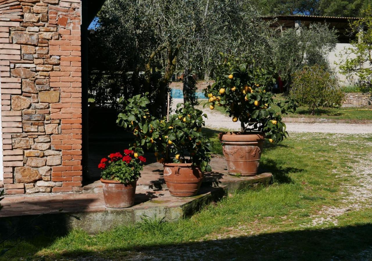 Agriturismo Baratti Dış mekan fotoğraf